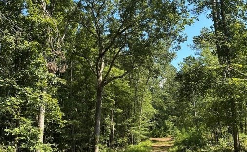 Land in Madison, Georgia, United States 1