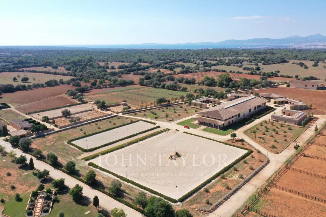 Domaine à Llucmajor, Îles Baléares, Espagne 3 - 16673026
