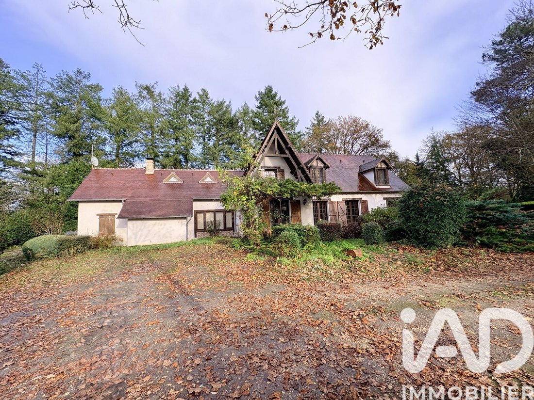 House in Salbris, Centre-Val de Loire, France 1 - 16673974