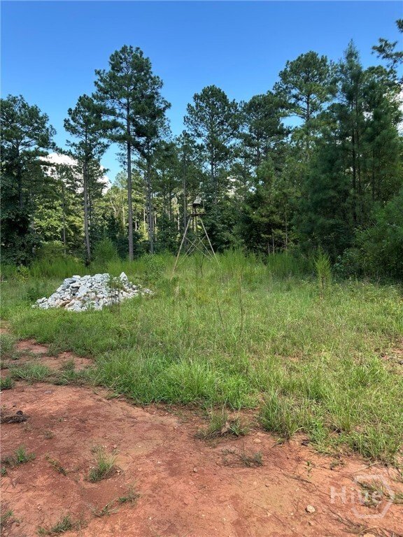 Land in Madison, Georgia, United States 4 - 16676963
