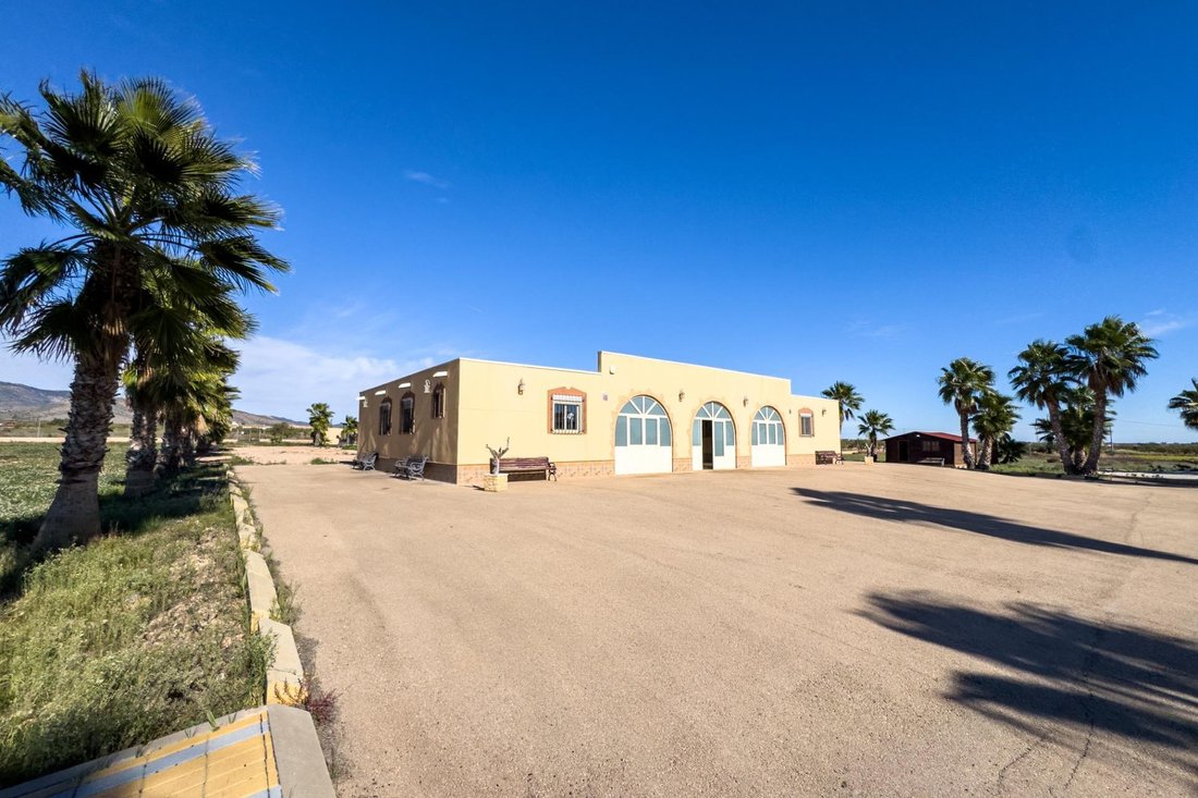 Country House in Cuevas de Reyllo, Fuente Alamo de Murcia, Spain 3 - 16674725