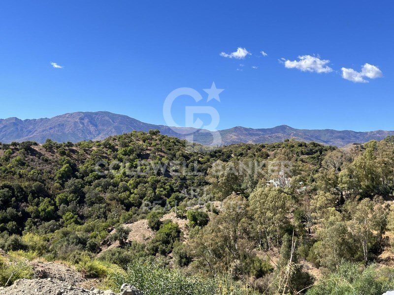 Land in Estepona, Andalusia, Spain 4 - 16674707