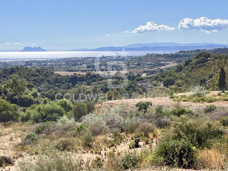 Land in Estepona, Andalusia, Spain 2 - 16674707