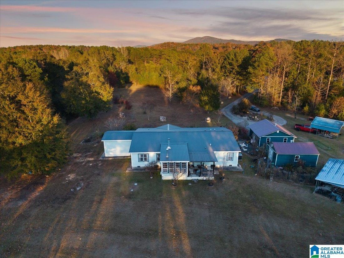 House in Alpine, Alabama, United States 4 - 16680993