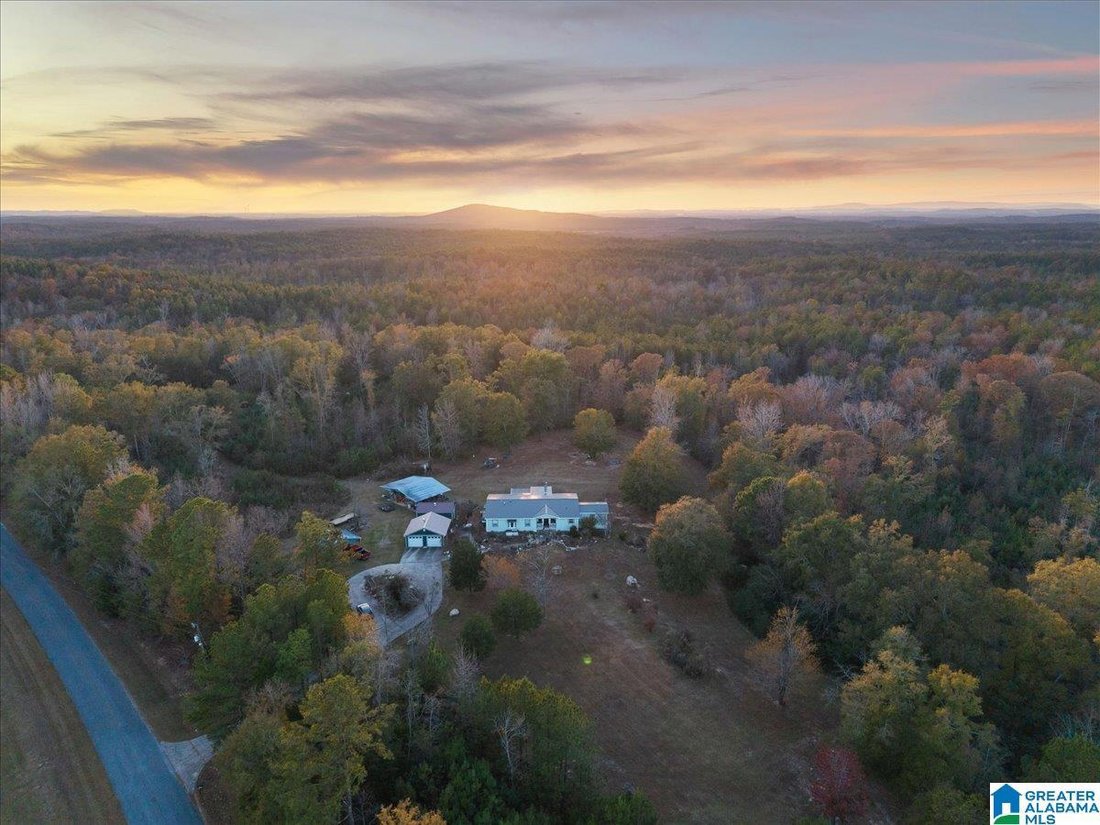 House in Alpine, Alabama, United States 2 - 16680993
