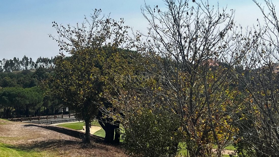 Land in Belas, Lisbon, Portugal 5 - 14795731