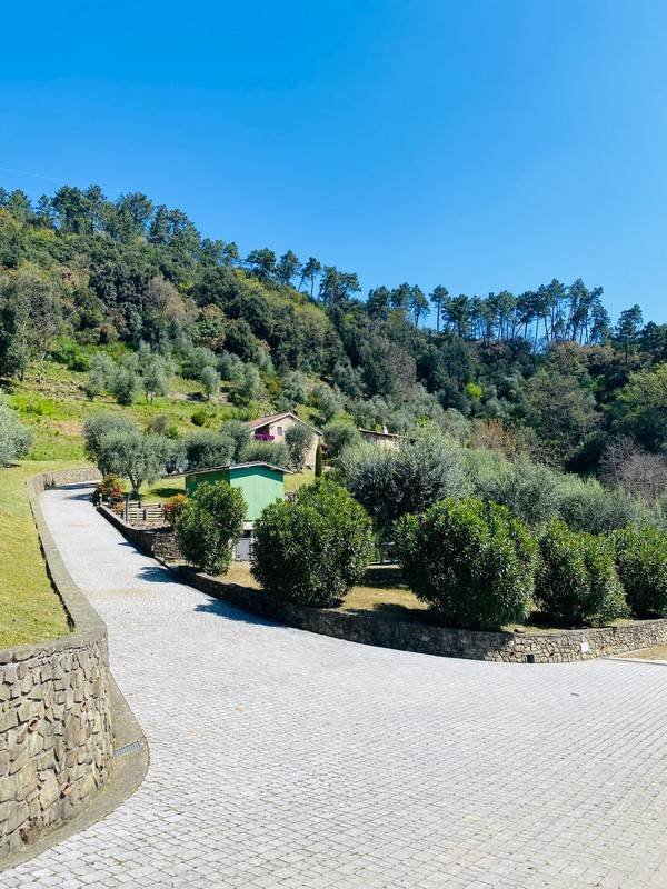 Country House in San Martino in Freddana, Tuscany, Italy 5 - 16675210