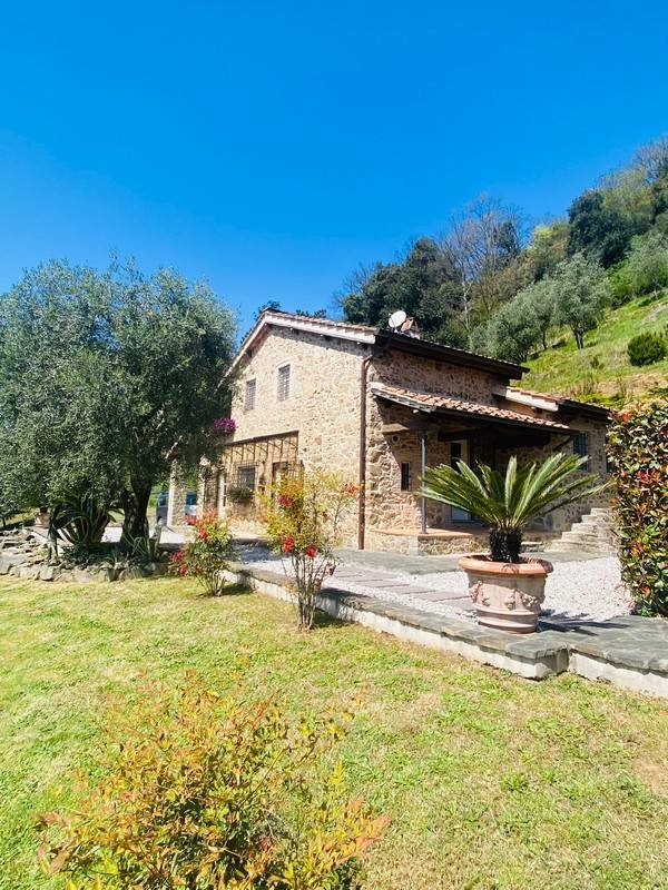 Country House in San Martino in Freddana, Tuscany, Italy 1 - 16675210