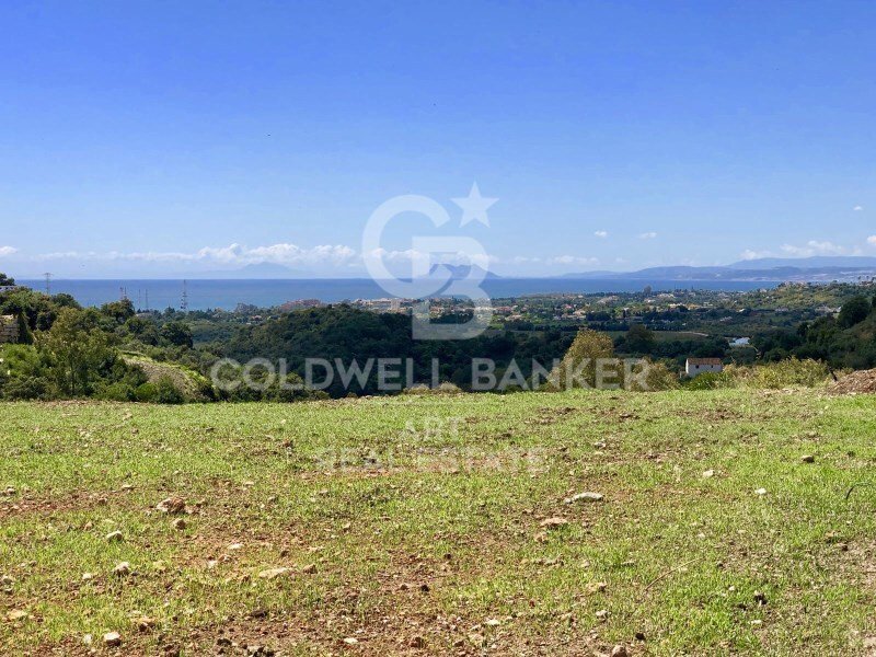 Land in Estepona, Andalusia, Spain 3 - 16674707