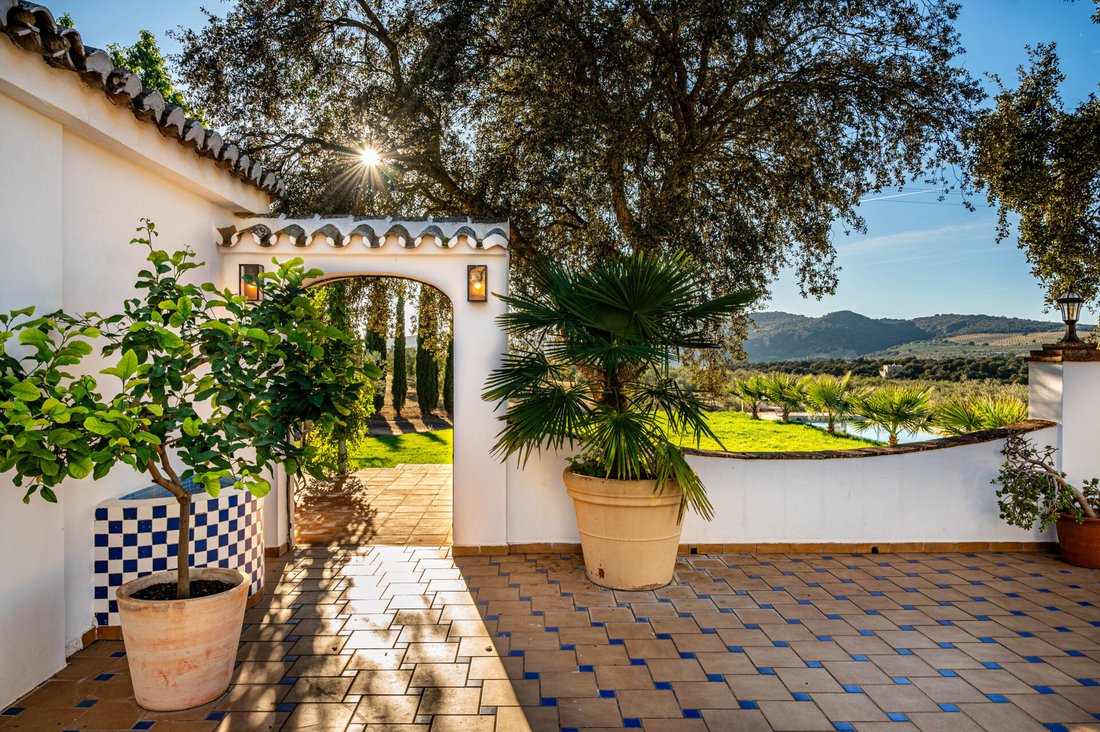 Finca in Ronda, Andalusia, Spain 2 - 16674220