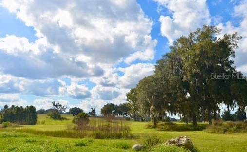 Land in Belleview, Florida, United States 1