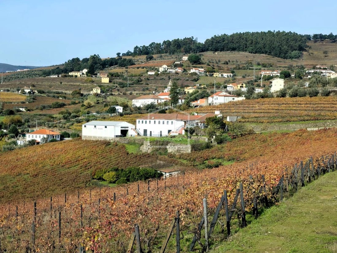 Farm Ranch in Fontelas, Vila Real District, Portugal 2 - 16258044
