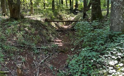 Terreno a Rutledge, Georgia, Stati Uniti 1