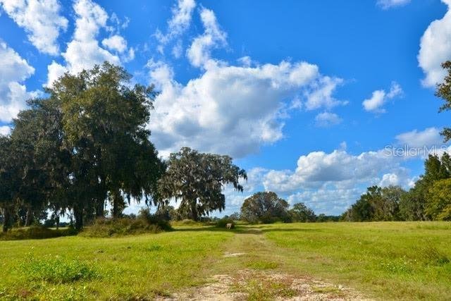Land in Belleview, Florida, United States 3 - 16681551
