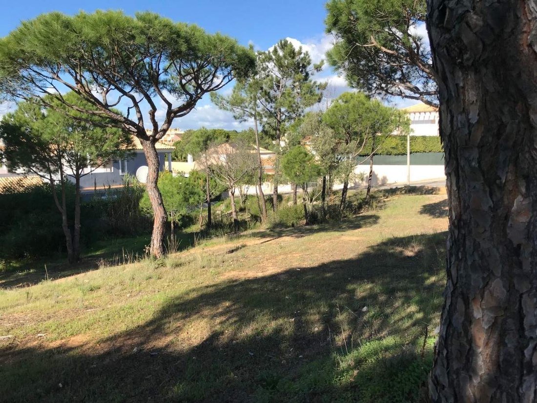 House in Almancil, Algarve, Portugal 4 - 16675775