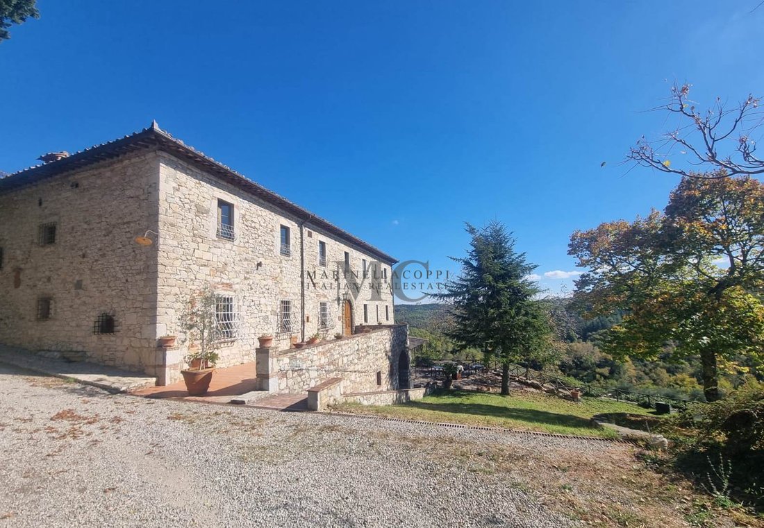 Estate in Castellina in Chianti, Tuscany, Italy 1 - 16674638