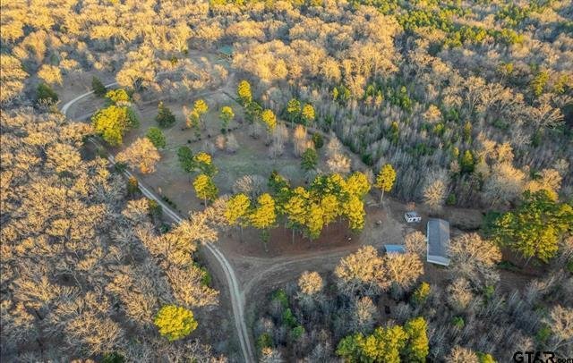 House in Gladewater, Texas, United States 3 - 16673640