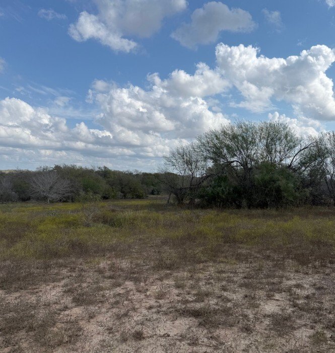 Farm/Ranch In Runge, Texas, United States For Sale (16678850)