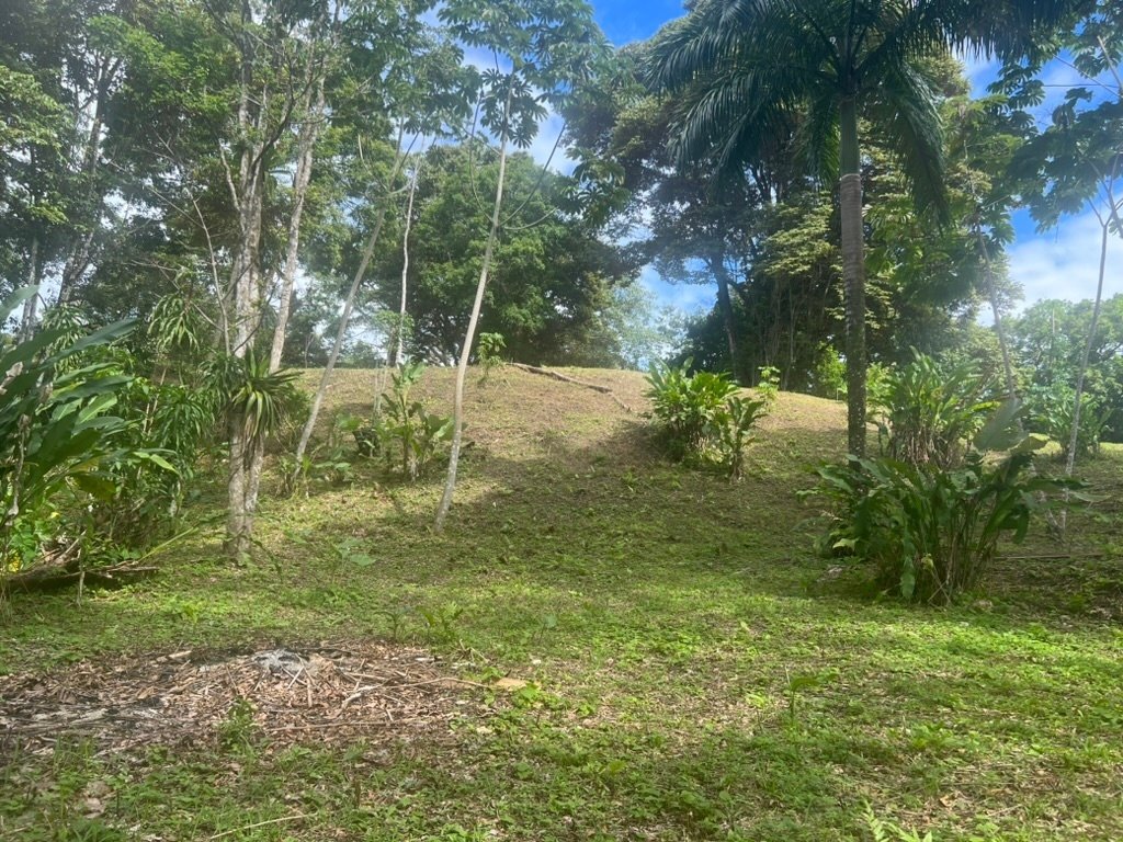 Land in Bocas del Toro, Bocas del Toro Province, Panama 5 - 16679367