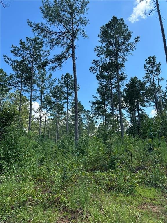 Land in Rutledge, Georgia, United States 5 - 16274525