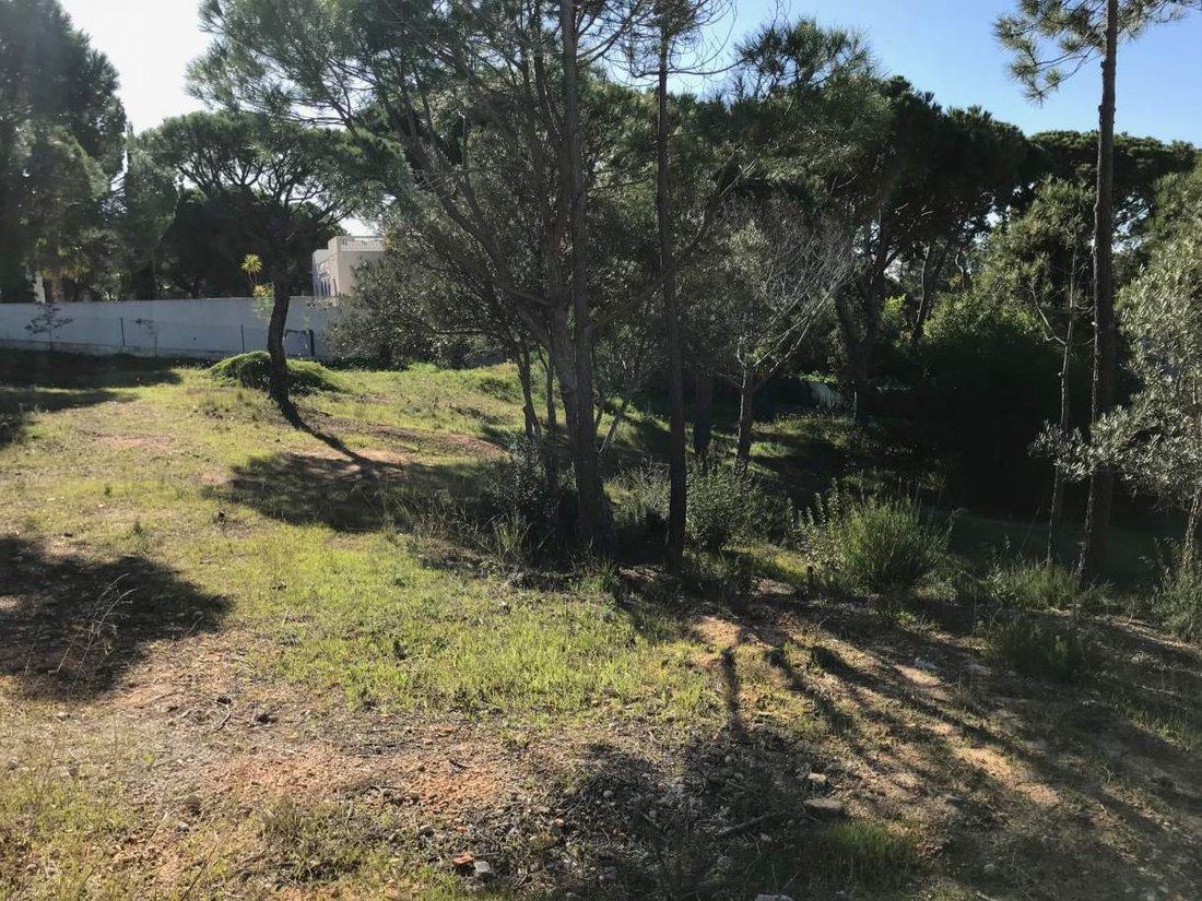 House in Almancil, Algarve, Portugal 5 - 16675775