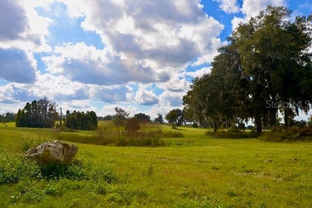 Land in Belleview, Florida, United States 2 - 16681551