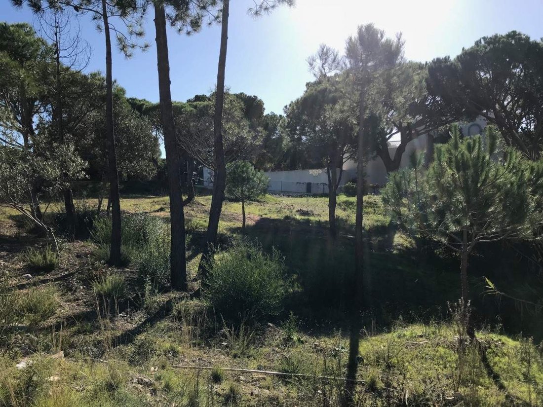House in Almancil, Algarve, Portugal 2 - 16675775