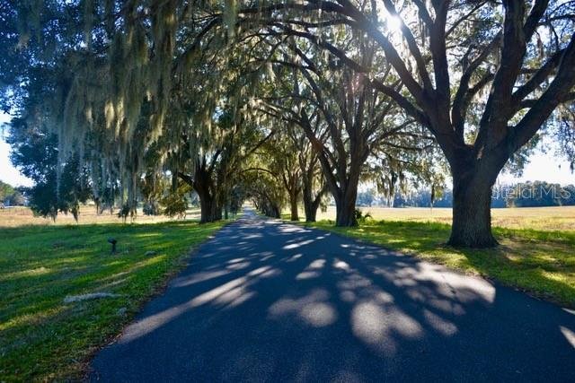 Land in Belleview, Florida, United States 5 - 16681551