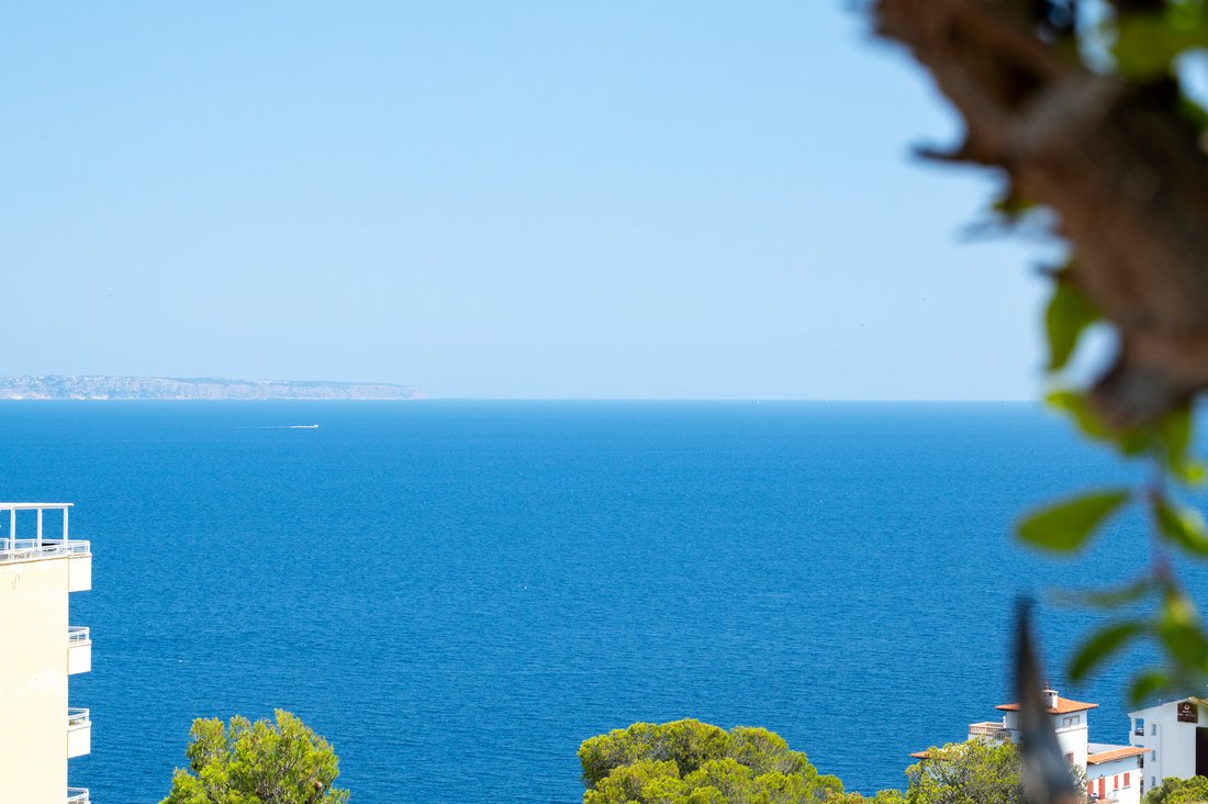 Attico a Portals Nous, Calvià, Isole Baleari 5 - 16677529