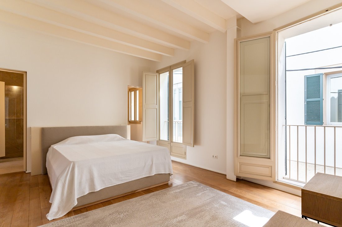 Apartment in Palma, Balearic Islands, Spain 3 - 16682431