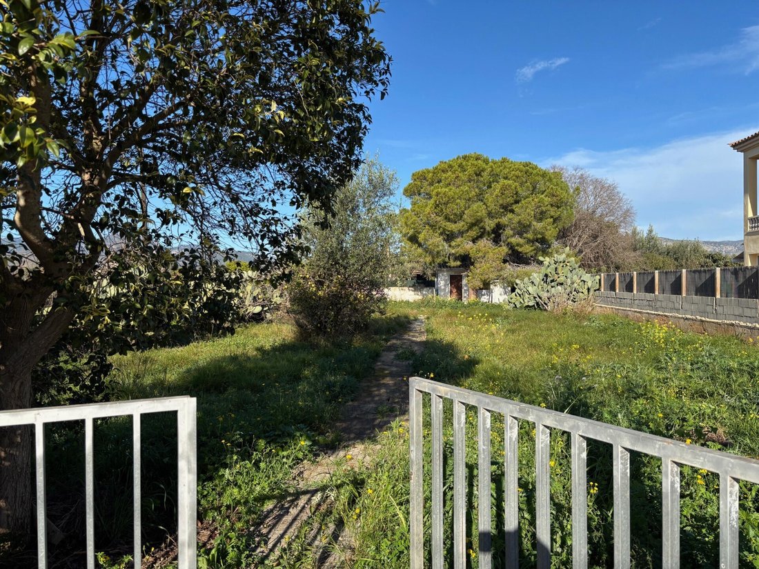 Land in Palma, Balearic Islands, Spain 4 - 16682398