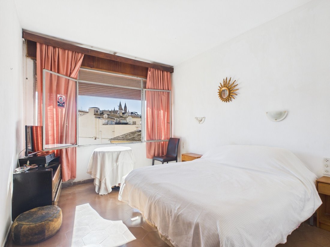 Apartment in Palma, Balearic Islands, Spain 4 - 16682441