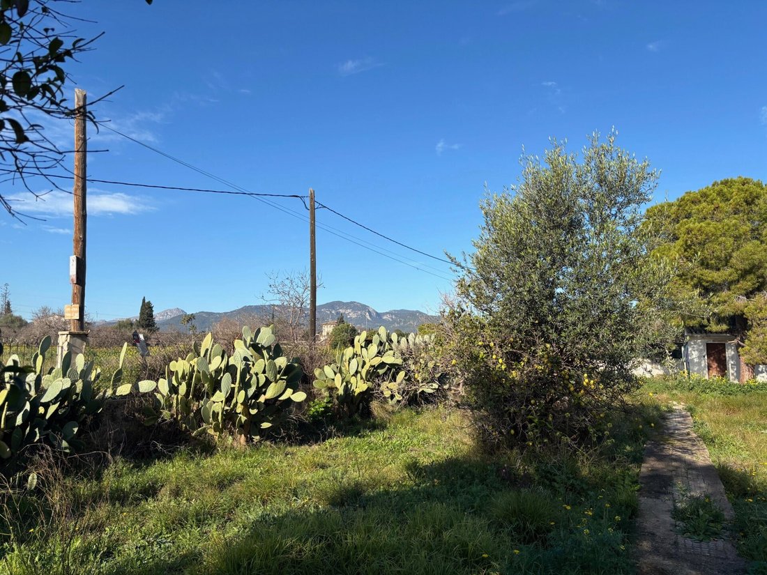 Land in Palma, Balearic Islands, Spain 5 - 16682398