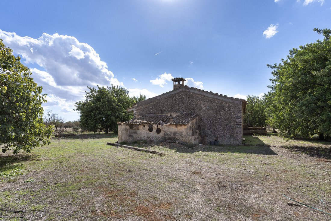 Land in Binissalem, Balearic Islands, Spain 3 - 16682437