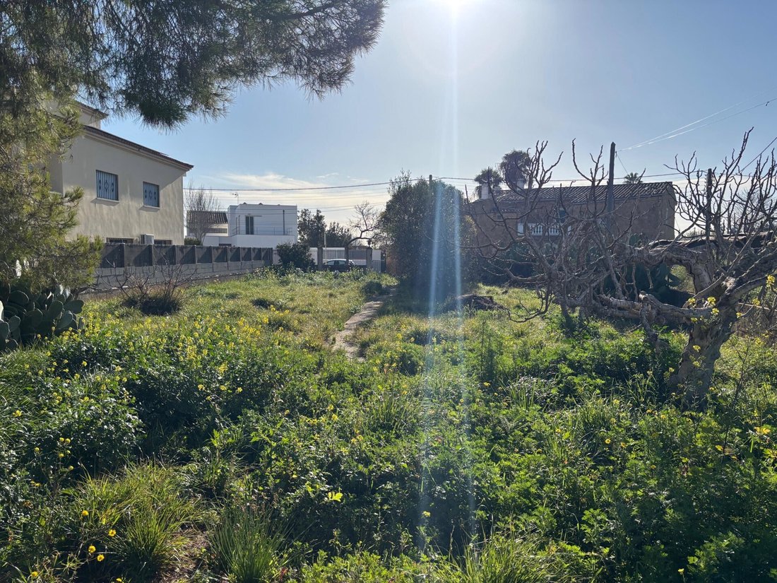 Land in Palma, Balearic Islands, Spain 2 - 16682398