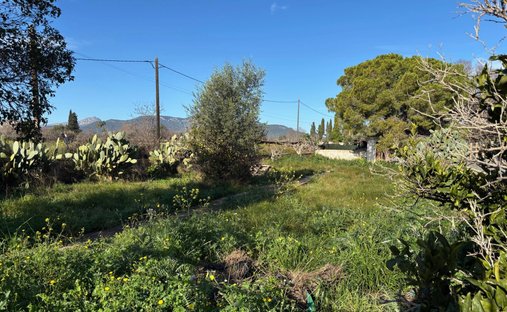 Land in Palma, Balearic Islands, Spain 1