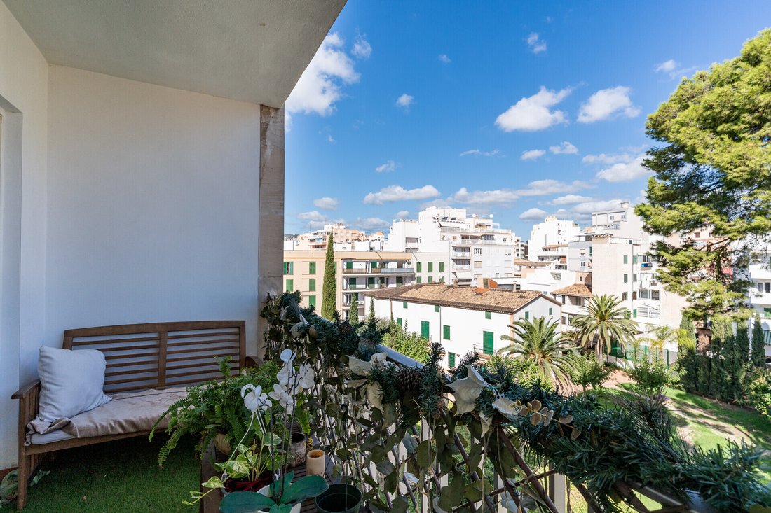 Apartment in Palma, Balearic Islands, Spain 3 - 16682438