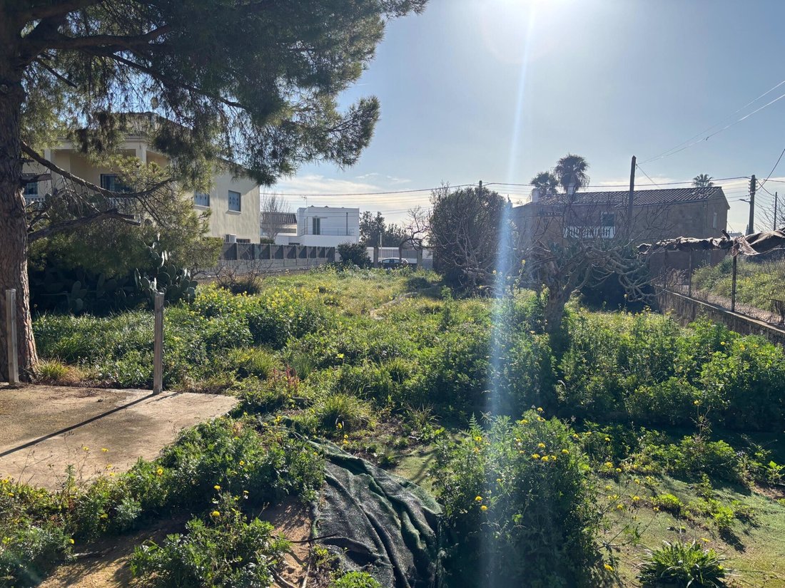 Land in Palma, Balearic Islands, Spain 3 - 16682398
