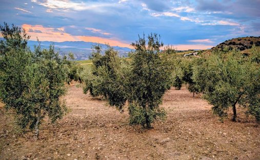 Azienda agricola a Telde, Isole Canarie, Spagna 1