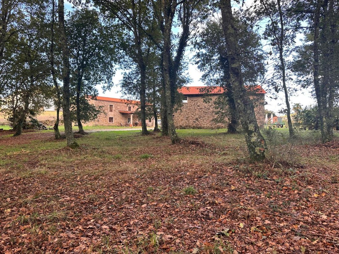 House in Arzua, Galicia, Spain 5 - 16682568