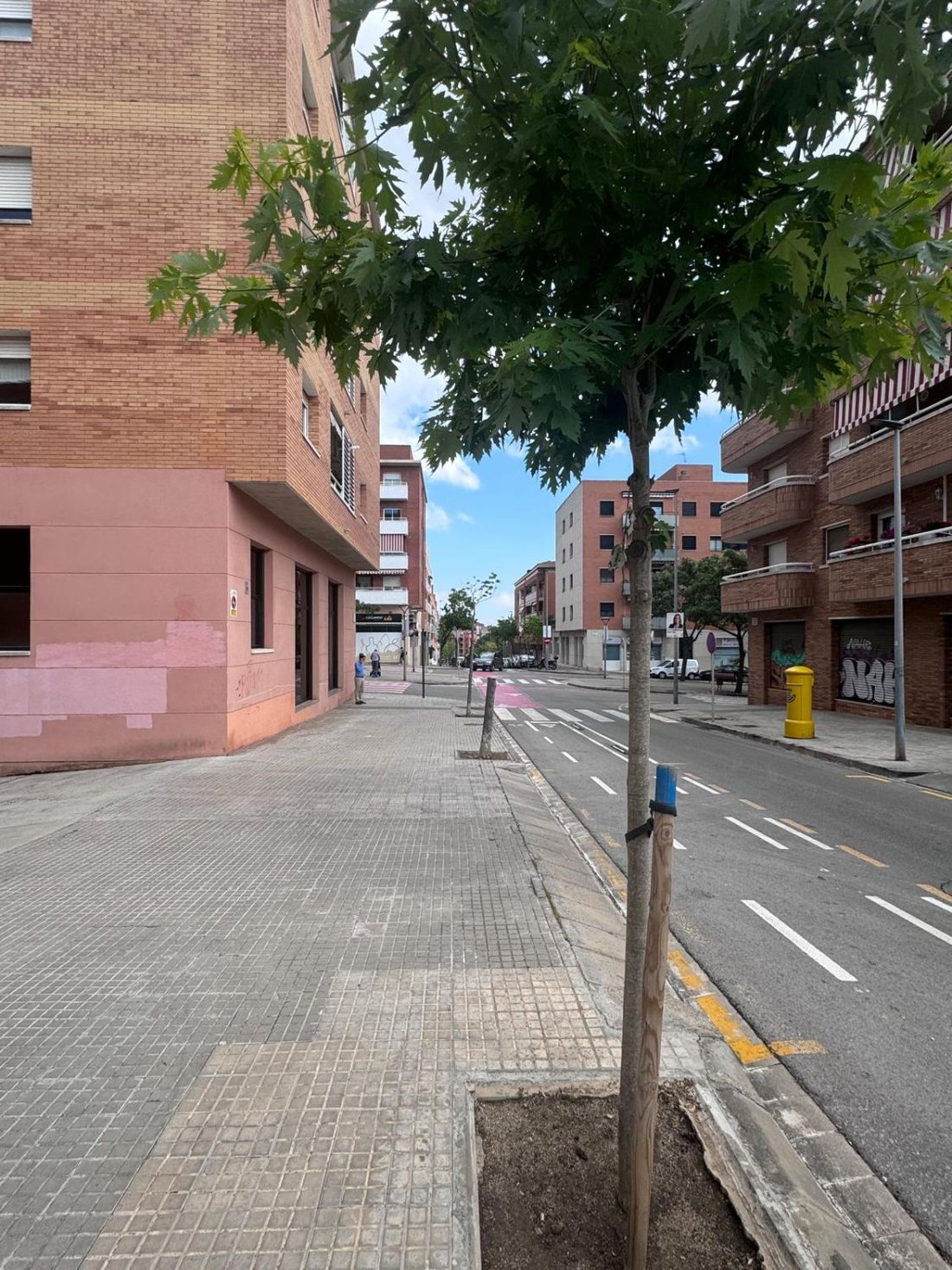 House in Sant Feliu de Llobregat, Catalonia, Spain 5 - 16682540