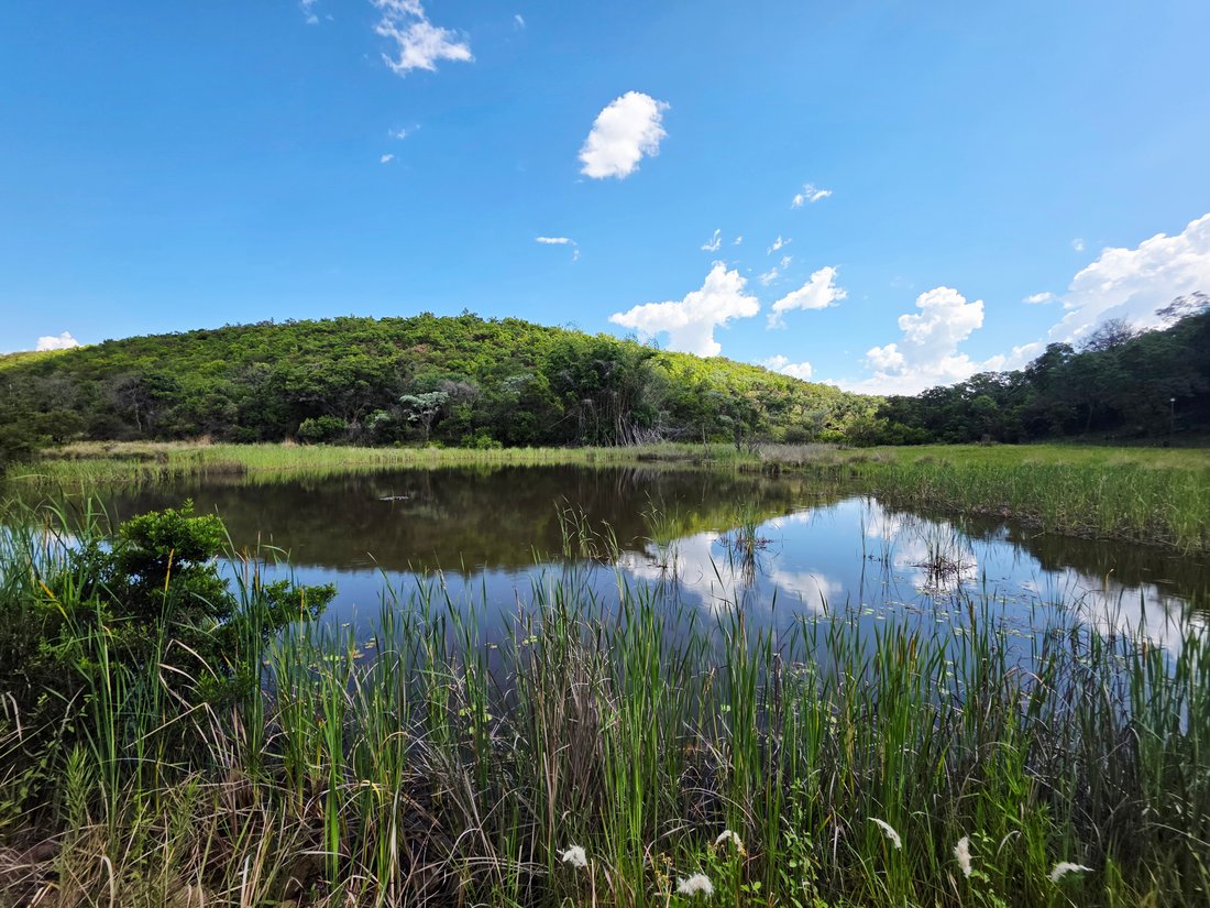 Farm Ranch in Modimolle, Limpopo, South Africa 2 - 16689344