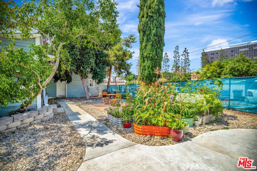 Los Angeles, California, United States 5 - 16687058