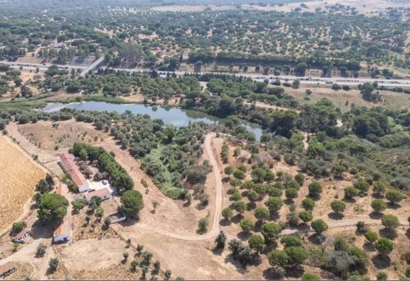 Farm Ranch in Alcacer do Sal, Setubal, Portugal 1 - 15124578