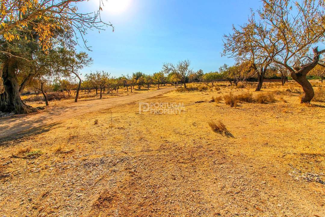 Land in Boliqueime, Algarve, Portugal 4 - 16690348