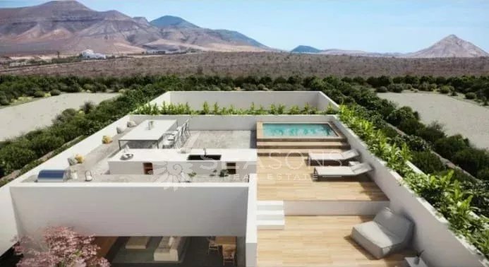 Villa in Tuineje, Canary Islands, Spain 5 - 16683444