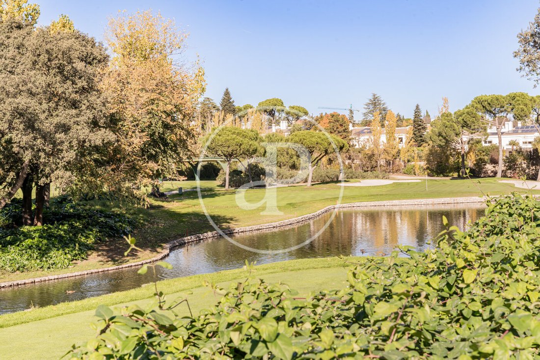 Villa in La Moraleja, Alcobendas, Comunidad de Madrid 1 - 16692869