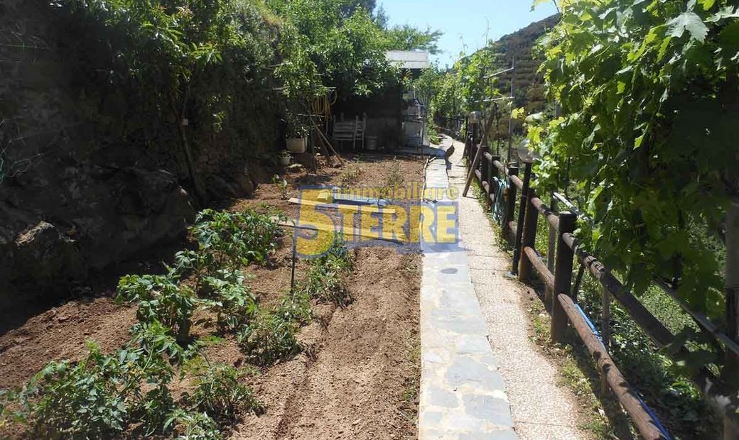 Riomaggiore Castle Residence (Cod. 521)