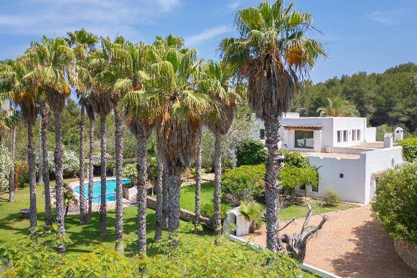 Country House in Sant Carles de Peralta, Santa Eularia des Riu, Balearic Islands 3 - 16693226