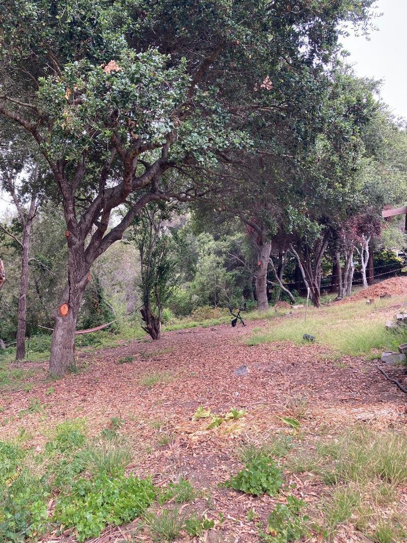 House in Santa Cruz, California, United States 2 - 16696118